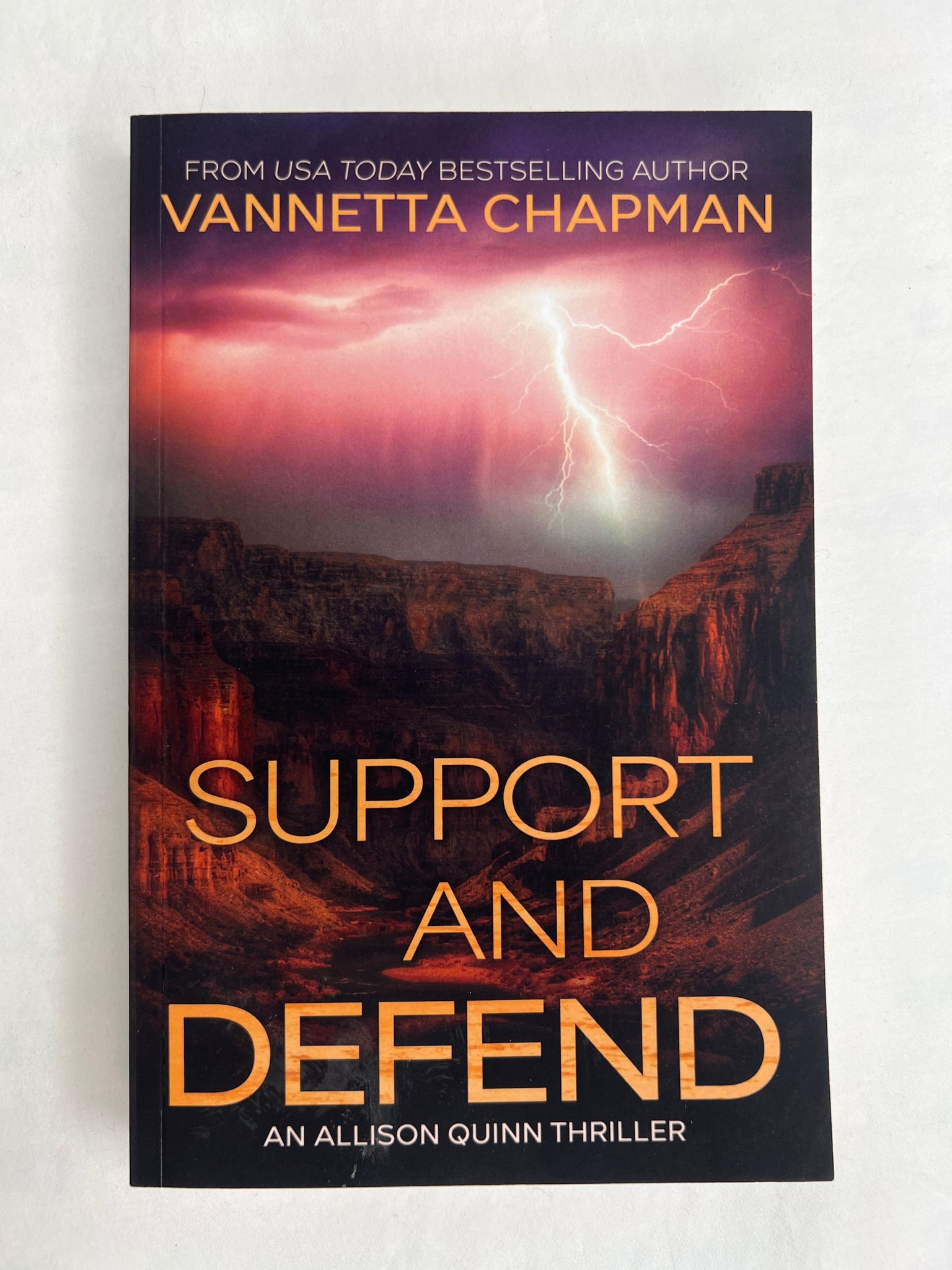 Support And Defend - Vannetta Chapman