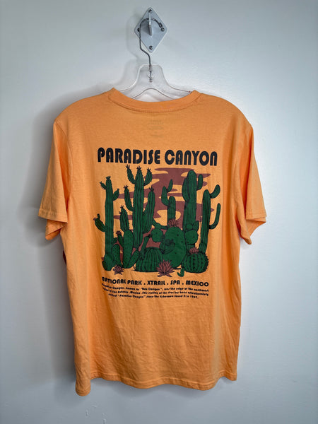 NWT Urban Heritage Paradise Canyon Graphic Tee (M)