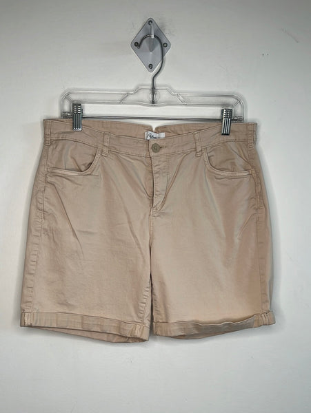 Reitmans Shorts (11)