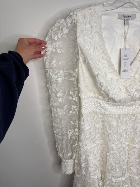 NWT Ever New Melbourne Frances Lace Mini Dress (4)