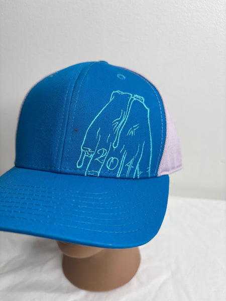 NWT Pukkanic Twozerofour Cap