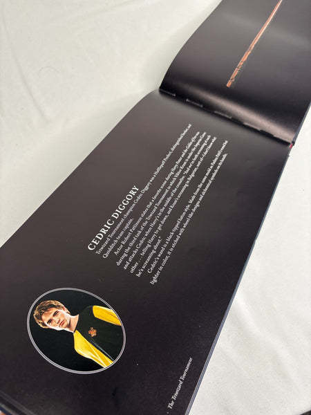 Harry Potter: The Wand Collection - J.K Rowling, Monique Peterson