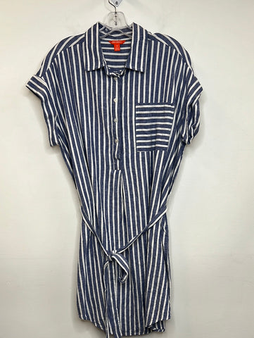 Tunic Striped Mini Dress (1X)