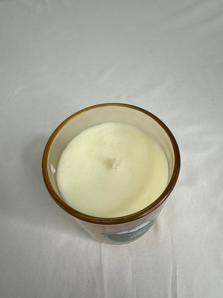 Goodies By DW Home Hot Cocoa Single Wick Candle