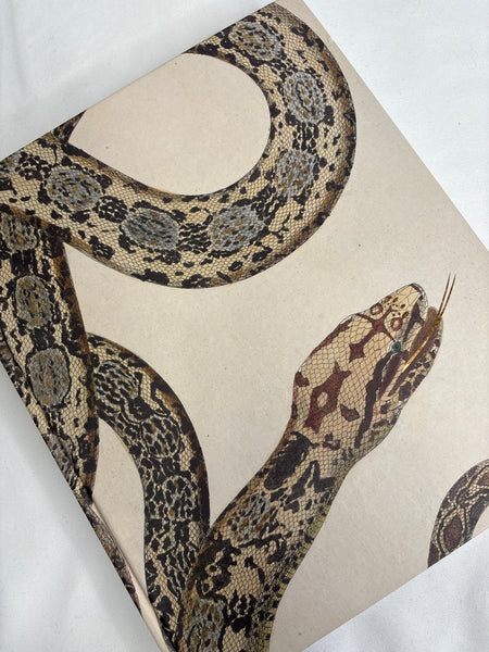 Harry Potter: History of Magic Illustrated Edition - J.K Rowling, Bloomsbury