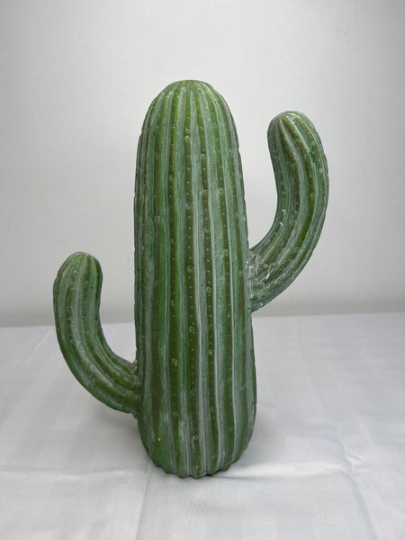 Decorative Cactus