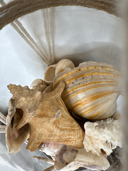 Hanging Shell Decor