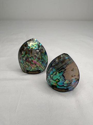 Genuine Paua Shell Handcrafted By Fiordland Made In New Zealand Salt And Pepper Shakers