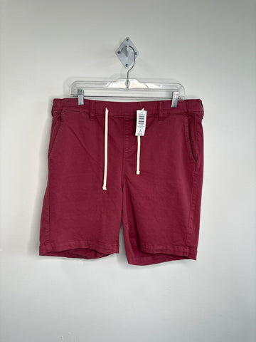 NWT Torrid Shorts (2XL)