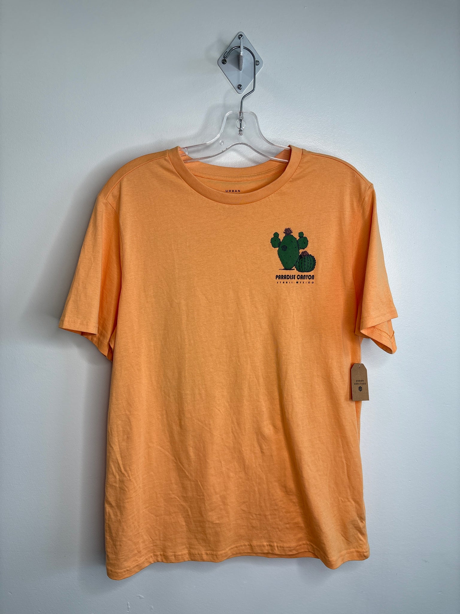 NWT Urban Heritage Paradise Canyon Graphic Tee (M)