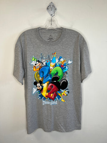 Disneyland Grey "2012" Graphic T-shirt (L)