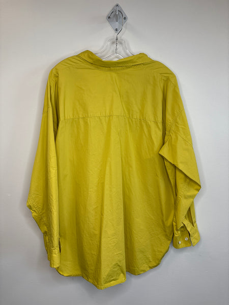 Aritzia Wilfred Free Long Sleeve Blouse (L)