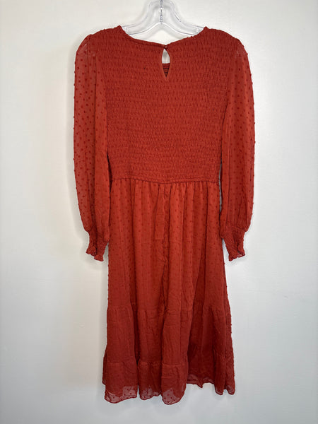 Casual Sheer Long Sleeve Crewneck Dot Midi Dress (S)