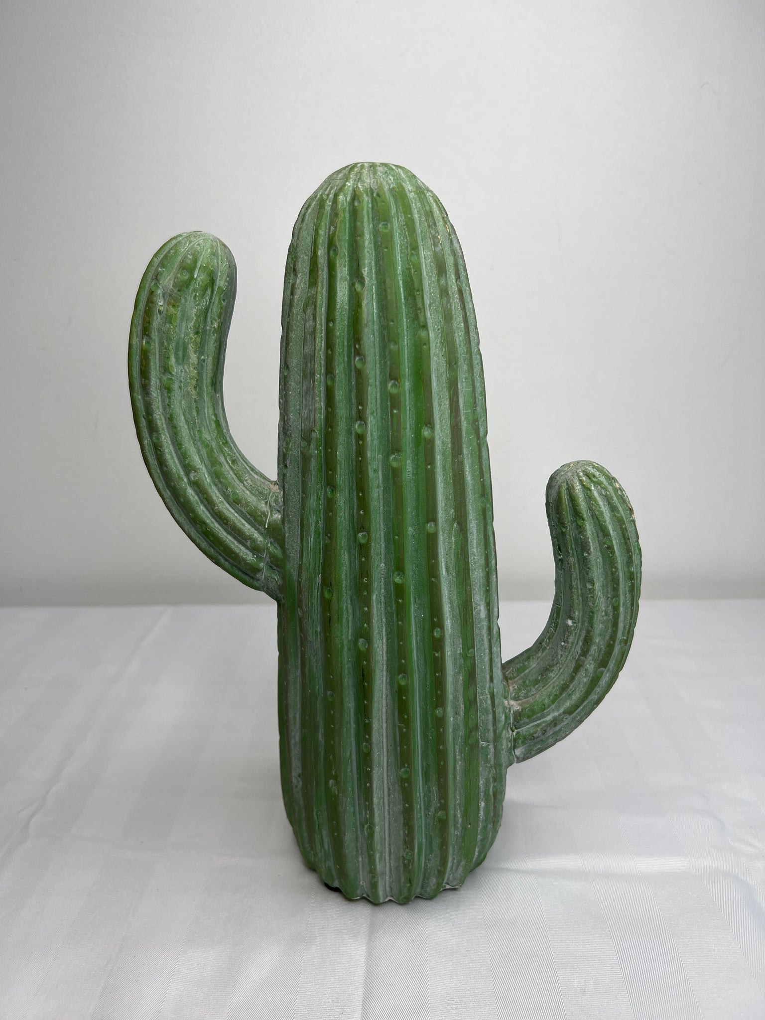 Decorative Cactus