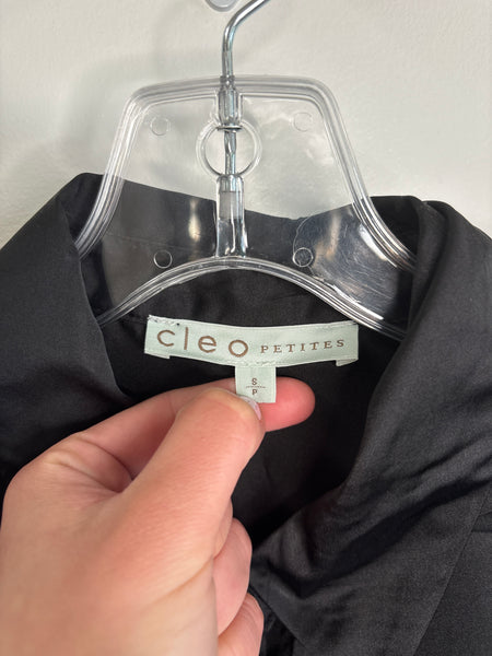 Cleo Petite See-Through Long-Sleeve Button-Up Shirt (S)