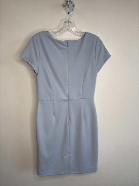 Banana Republic Work Dress (4)