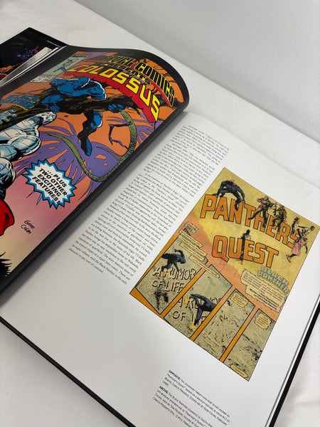 Black Panther The Illustrated History of a King Comic