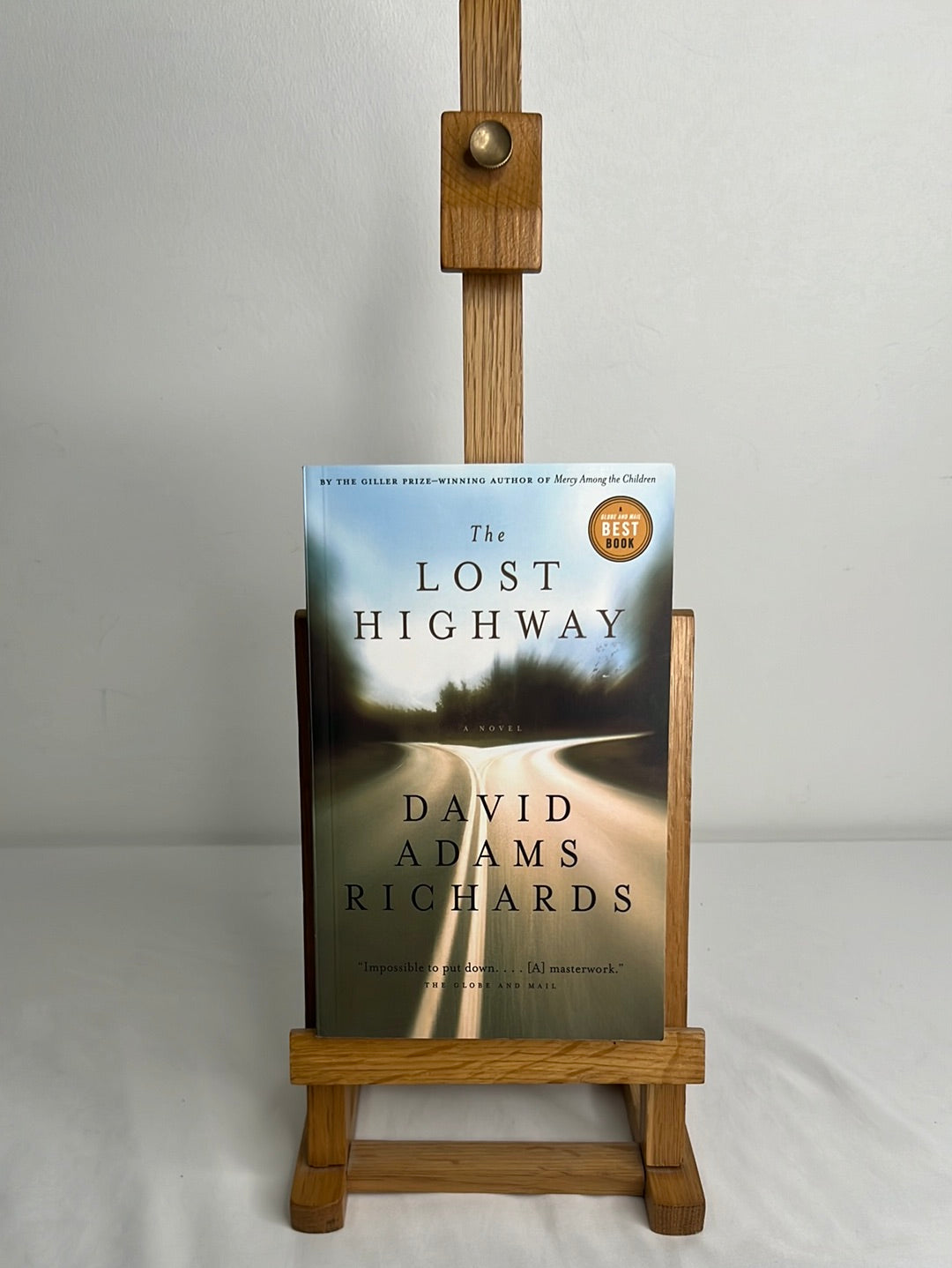 The Lost Highway - David Adams Richards
