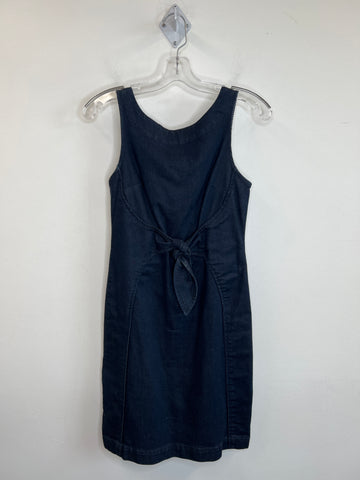 Vintage Holding Horses Dark Wash Denim Sleeveless Dress (2)