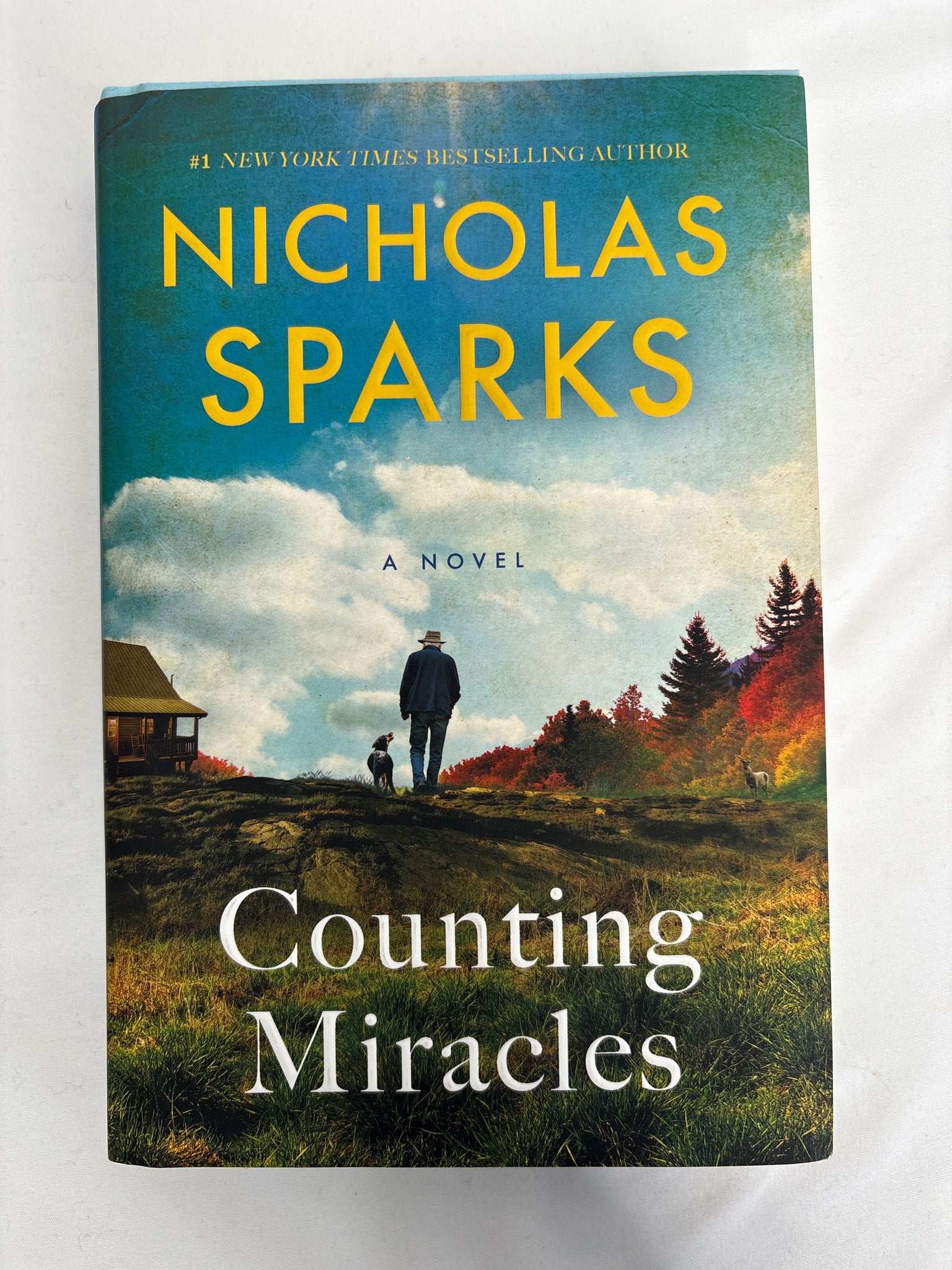 Counting Miracles- Nicholas Sparks