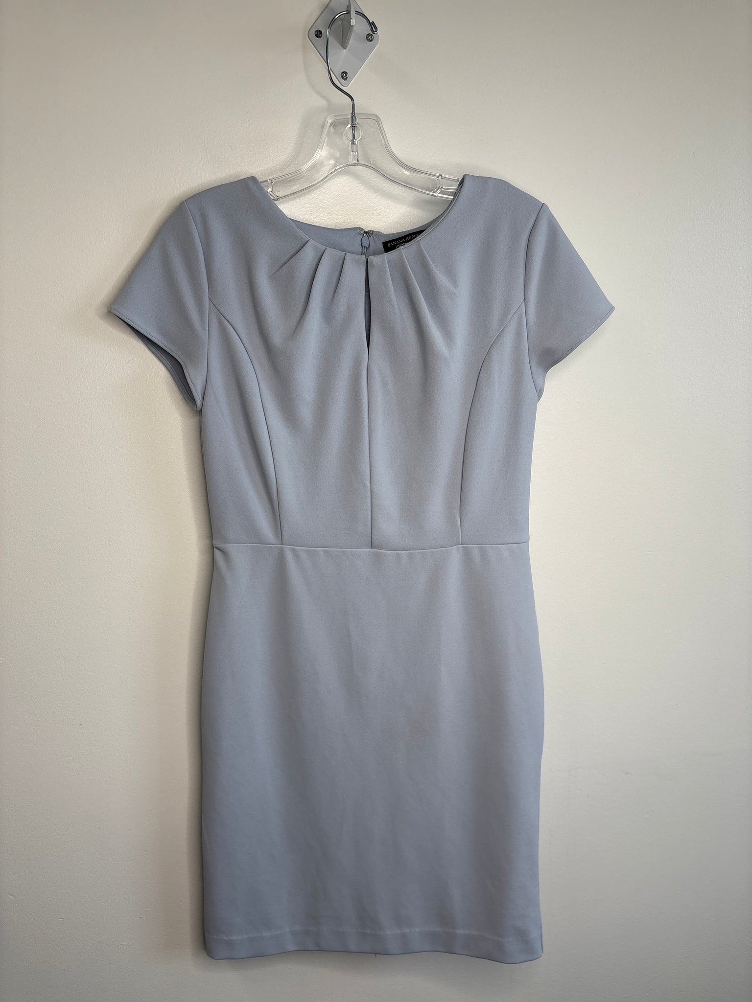 Banana Republic Work Dress (4)