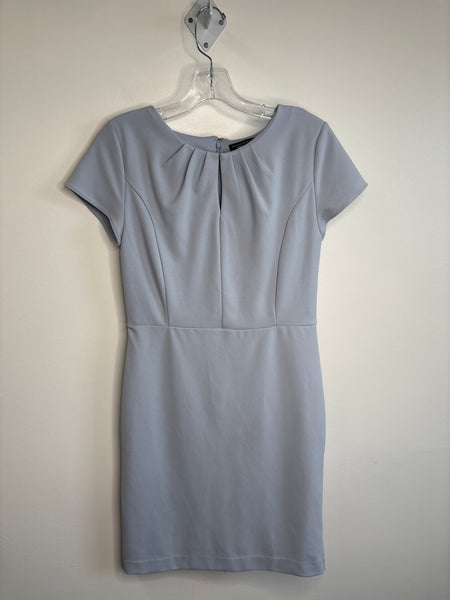 Banana Republic Work Dress (4)