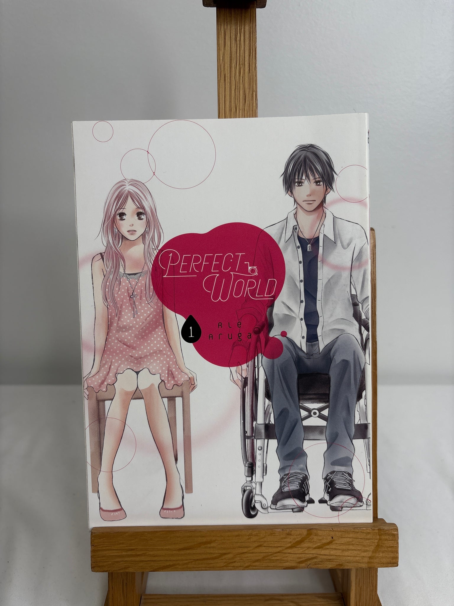Perfect World Volume 1 Manga