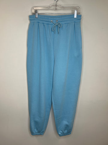 Streetwear Society Baby Blue High Rise Jogger (M)