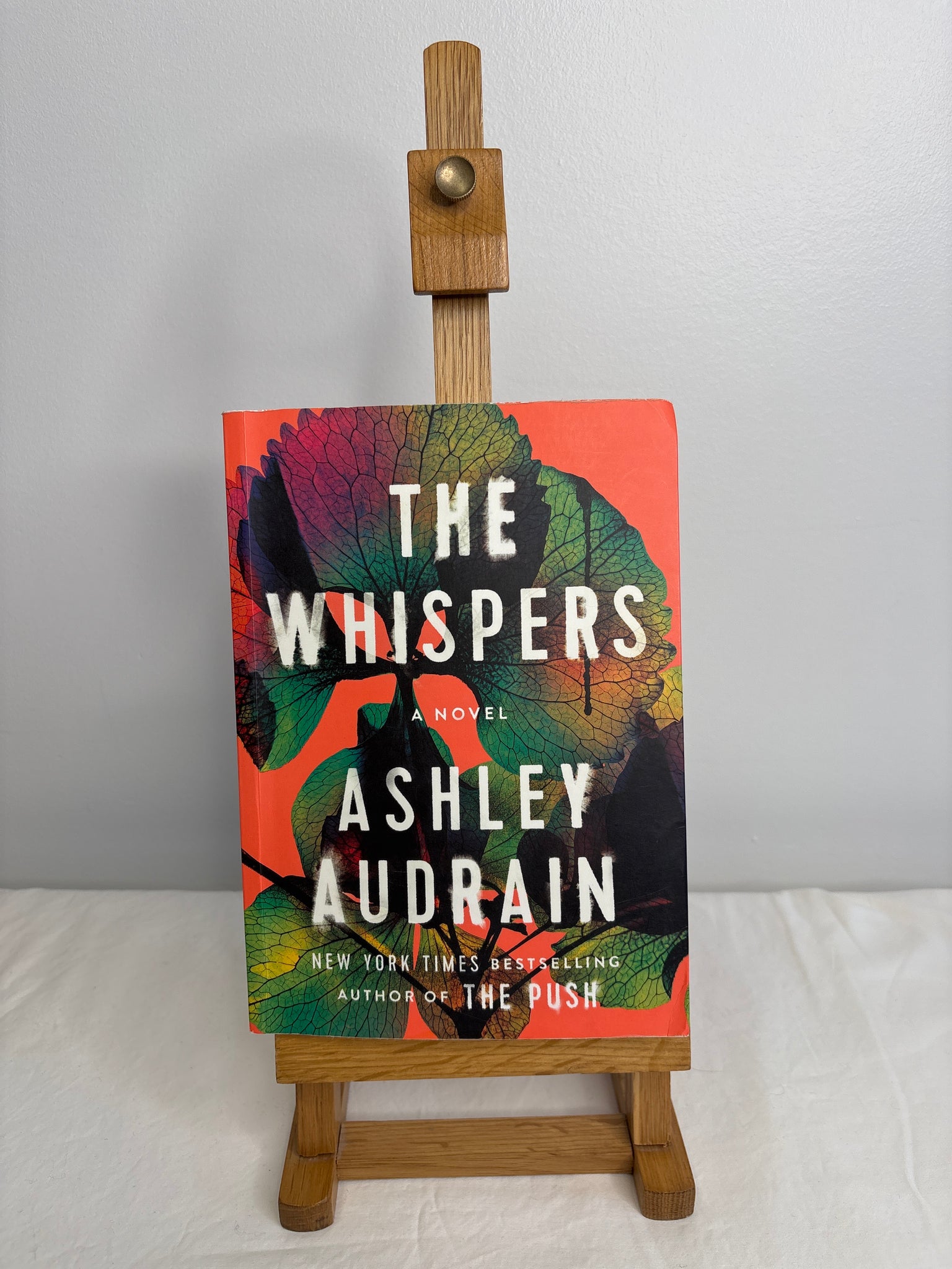 The Whispers - Ashley Audrain