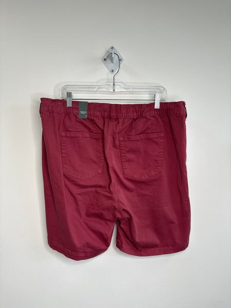 NWT Torrid Shorts (2XL)