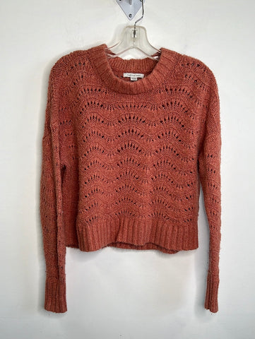 American Eagle Knit Cropped Sweater (XS)