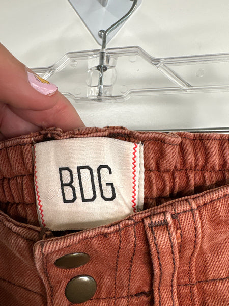 Urban Outfitters BDG Cargo Pants (26)
