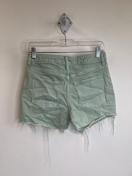 Universal Thread Good Co. Green Shorts (2/26)