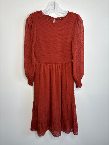 Casual Sheer Long Sleeve Crewneck Dot Midi Dress (S)