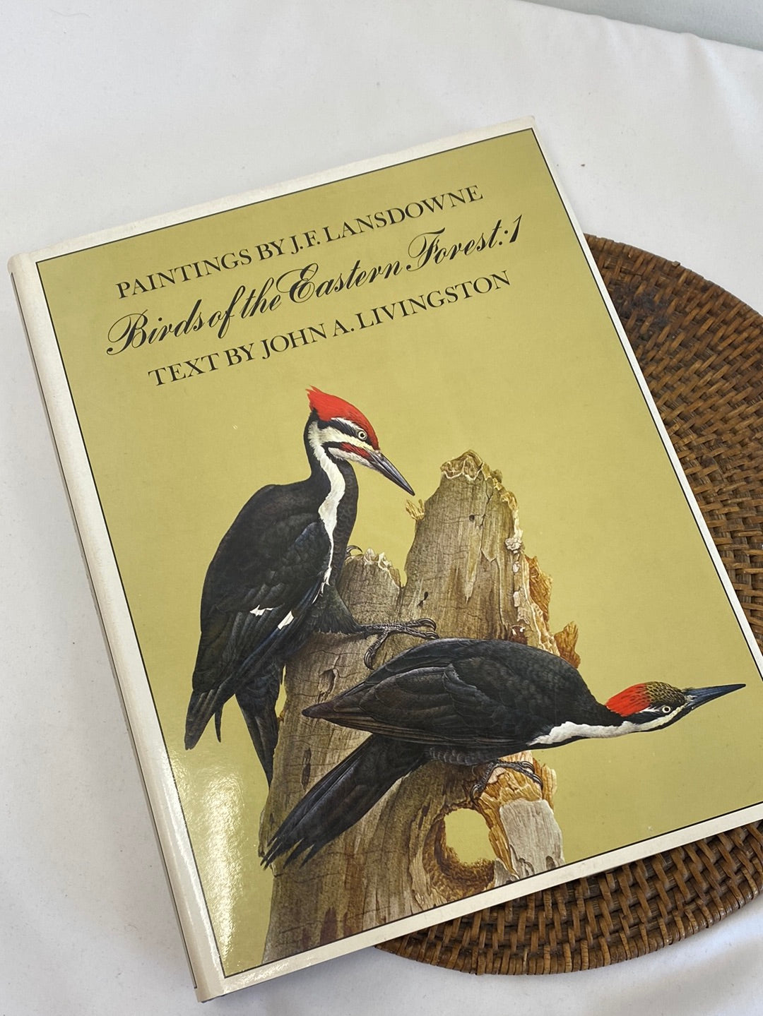 Birds Of The Eastern Forest: 1