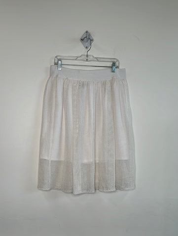 Ann Taylor Mesh Knit Skirt (12)