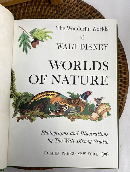 Vintage Golden Press New York Wonderful World of Walt Disney Children's Books- set of 4